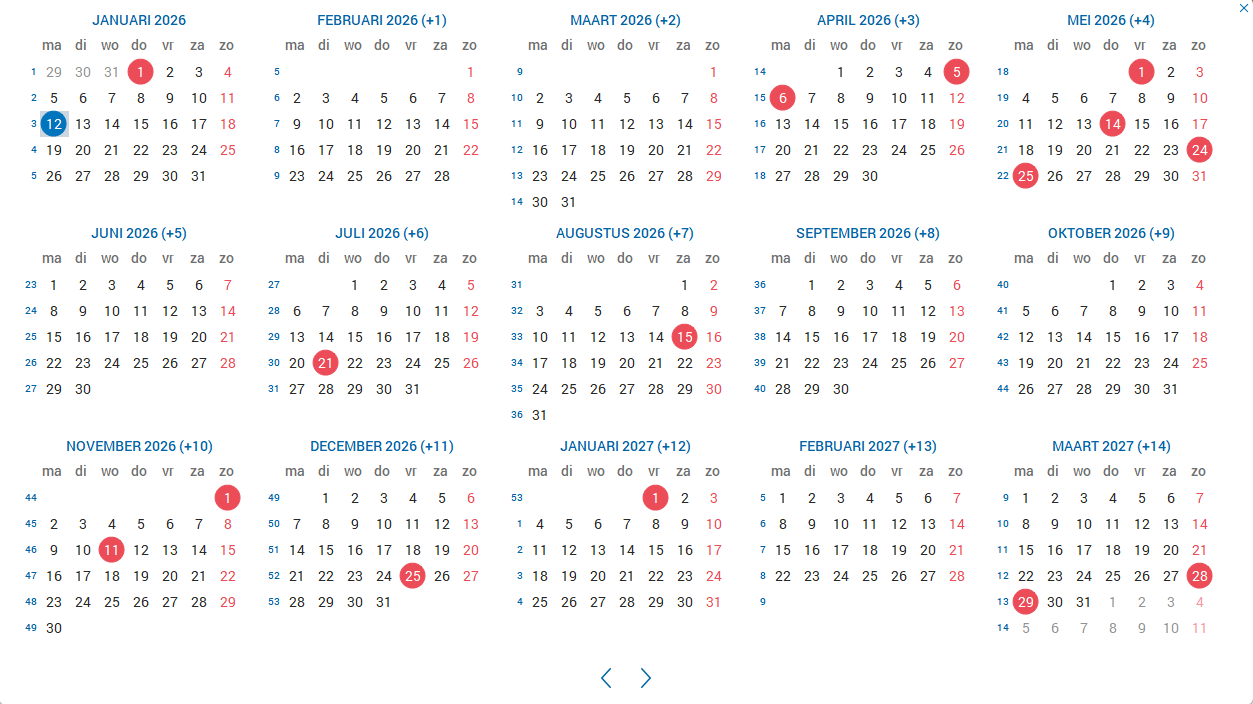Jaarkalender met 15 maanden in rasterweergave